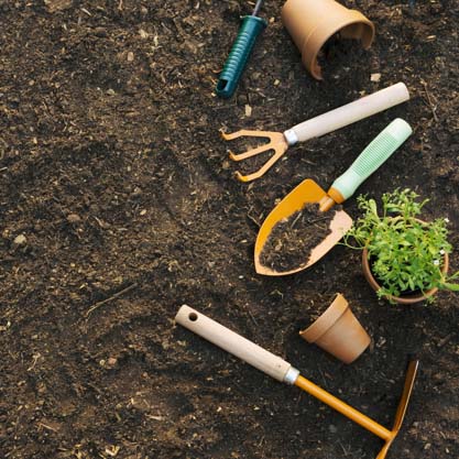 種子、花盆、肥料...「園藝」英文單字一次學會