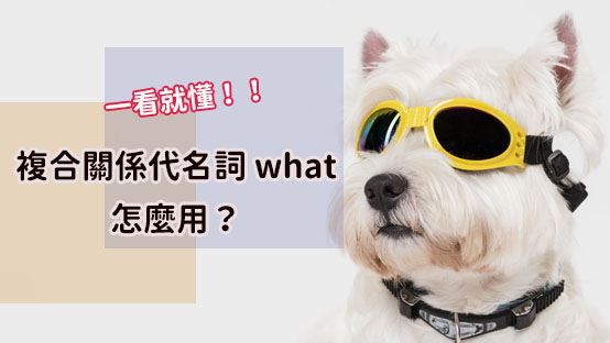 一看就懂 複合關係代名詞what 與一般關係代名詞哪裡不一樣 空中美語部落格