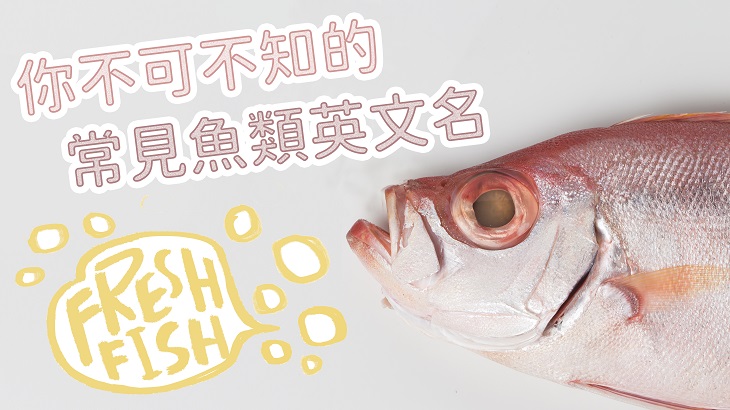 你不可不知的常見魚類英文名 空中美語部落格